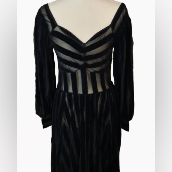 Foxblood Medium Velvet Velour Striped Sheer Gown Peasant Gothic Vintage Maxi - Picture 14 of 16